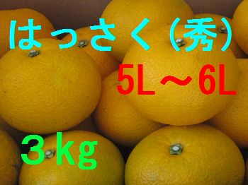 八朔（秀）5L〜6L混合　3kg