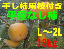 干し柿用「平種無し柿」L　13kg