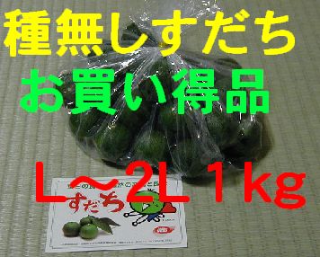 �햳��������(���������i)L�`2L 1kg