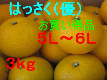 八朔  (お買い得品)  5L〜６L混合　3kg 
