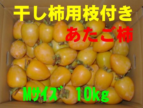 干し柿用枝付き（あたご柿）M 10kg
