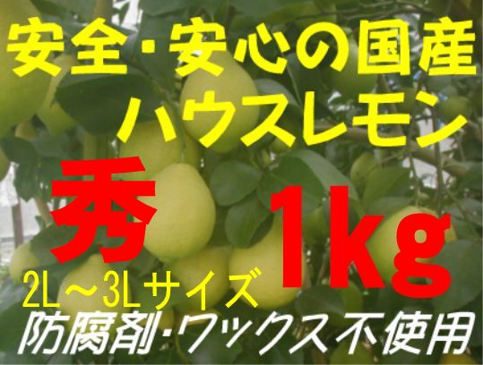 国産ハウスレモン（秀）2L〜3L 1kg