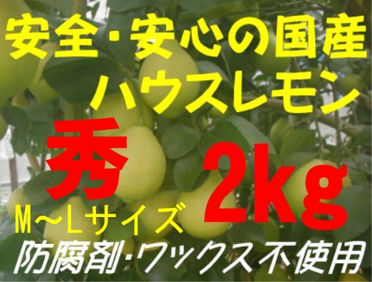 国産ハウスレモン（秀）M〜L 2kg